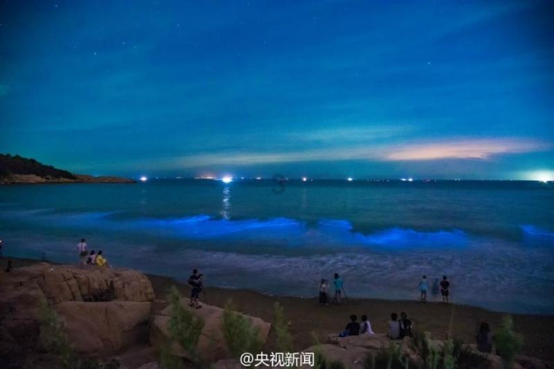 小猫钓鱼游戏龙王版有船