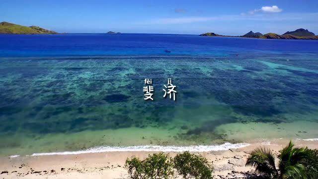 酒后骑电动车,C1驾照是否受影响?-问答类网站,全方位解答你的疑惑