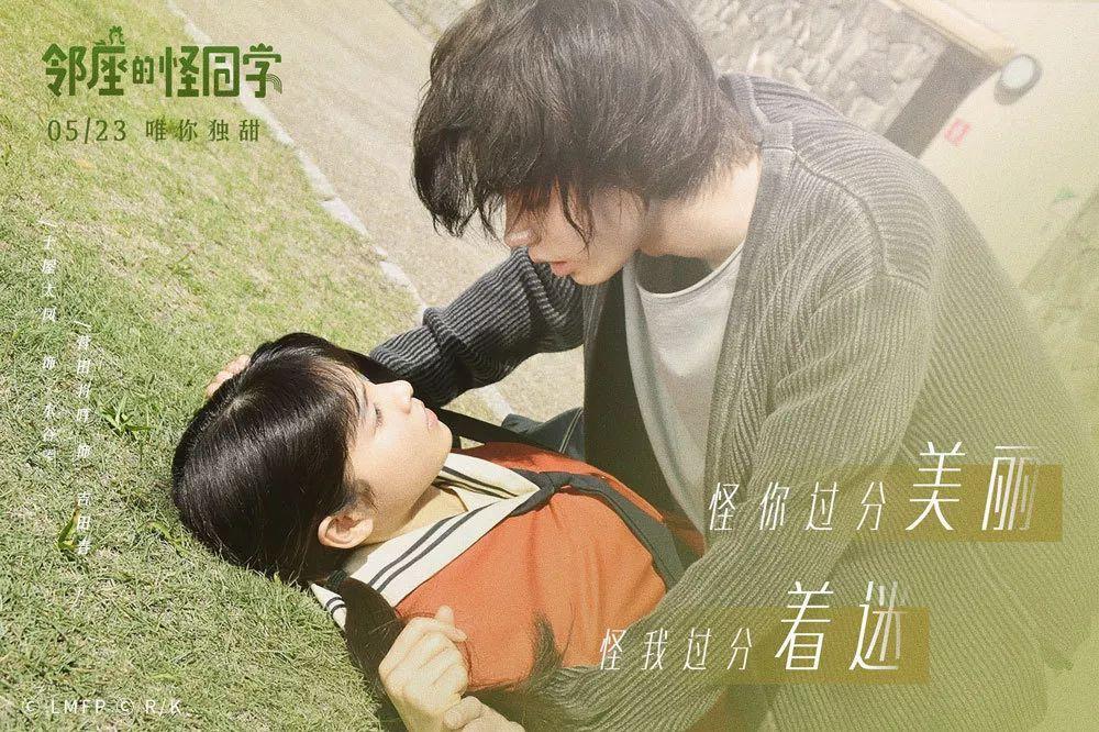 虫虫助手下载